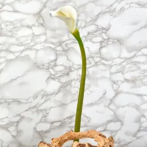 29" Calla Lily Artificial Flower (Set of 6)