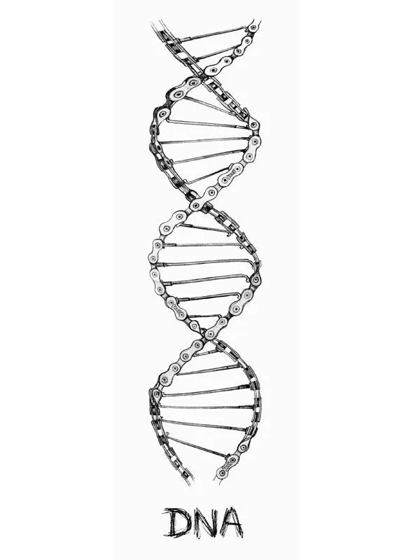 DNA T Shirt Blue