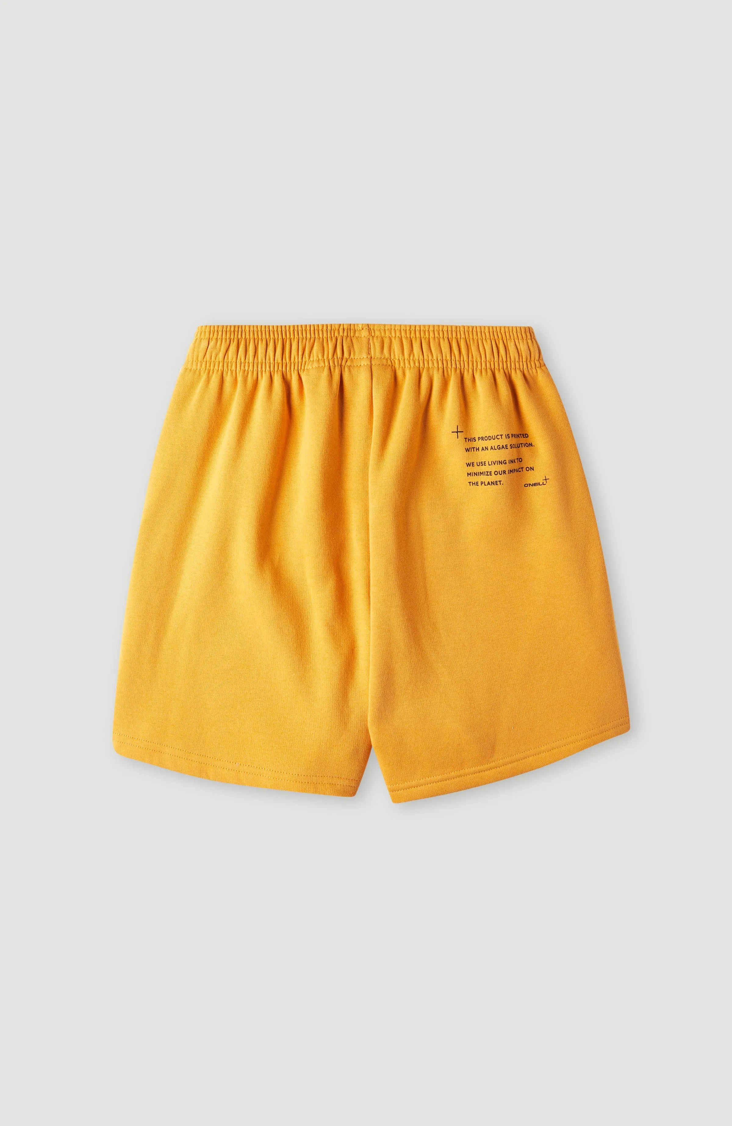 Future Surf High-Waist Sweatshorts | Nugget
