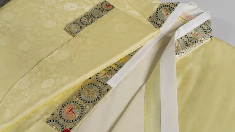 Jin Yin Hua 金银花 Honeysuckle Ming Dynasty Lute Sleeve Jiaoling Ao Top