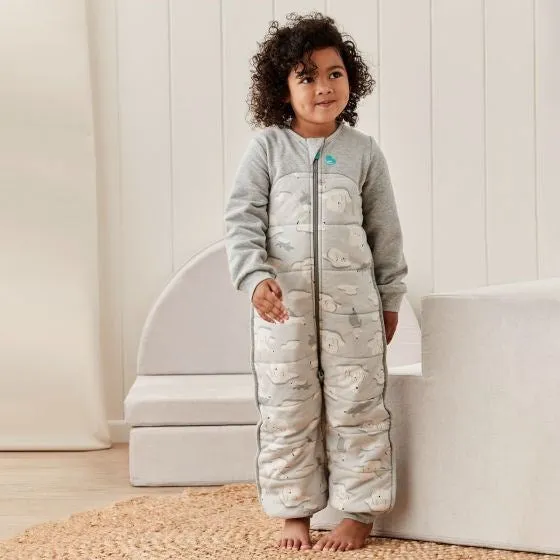 Love to Dream Sleep Suit 3.5T (South Pole) Grey Size 2