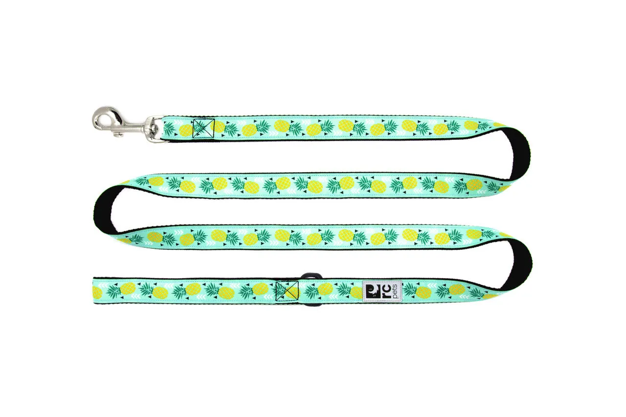 RC Pets Dog Leash 6' - Bright