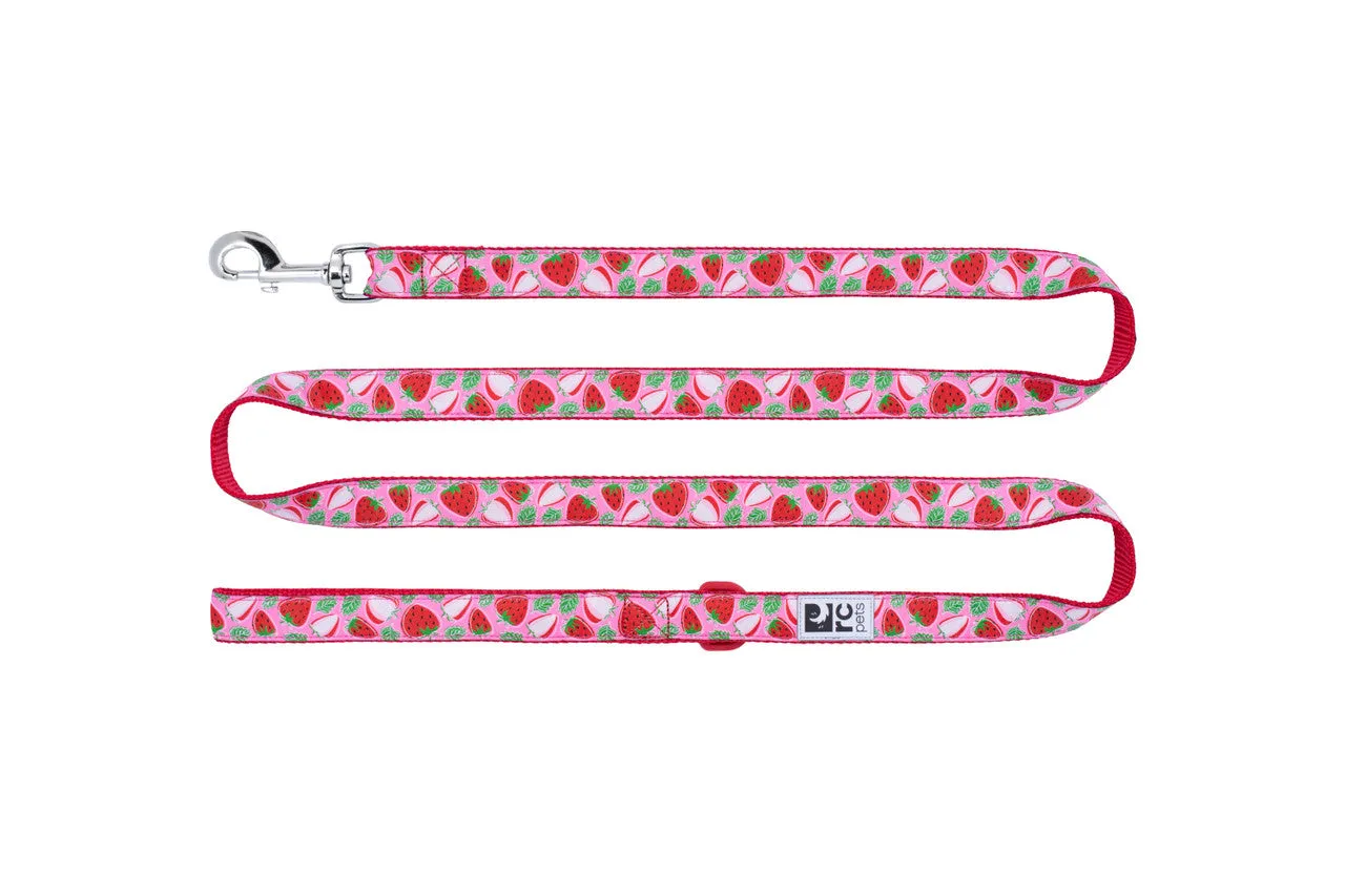 RC Pets Dog Leash 6' - Bright