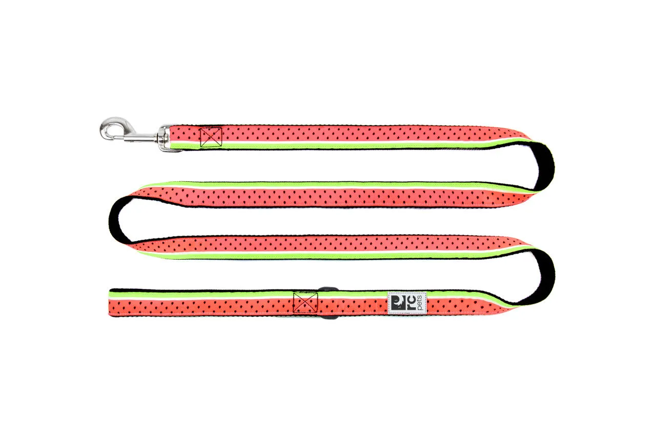 RC Pets Dog Leash 6' - Bright