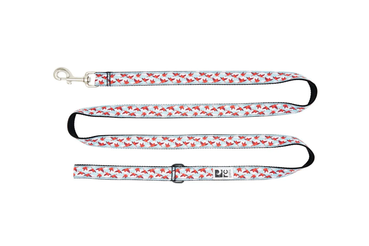 RC Pets Dog Leash 6' - Bright